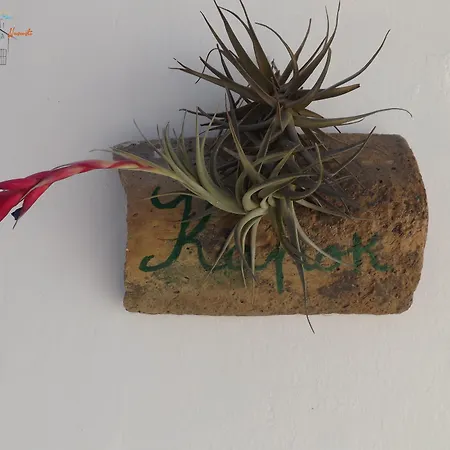 Giardino Nascosto Taviano (Lecce)