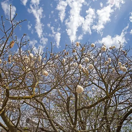 فندق مبيت وإفطار Giardino Nascosto تافيانو