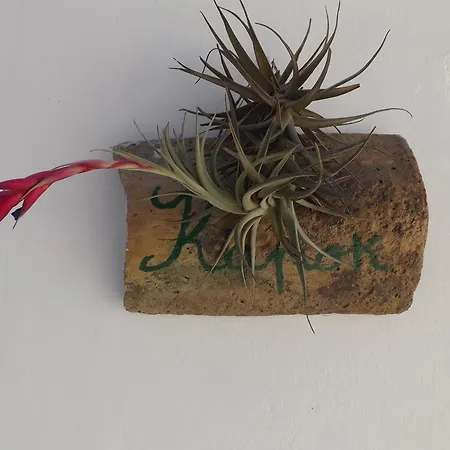 فندق مبيت وإفطار Giardino Nascosto تافيانو