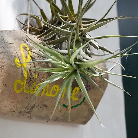 فندق مبيت وإفطار Giardino Nascosto تافيانو