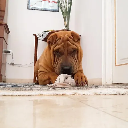 Bed & Breakfast Giardino Nascosto 4*