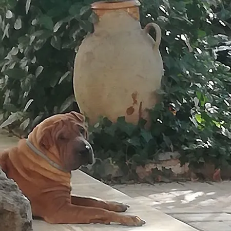 Giardino Nascosto