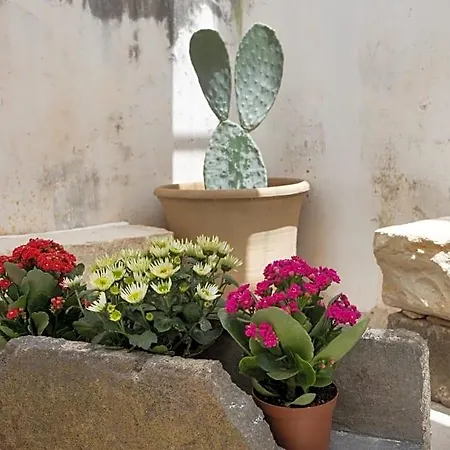 Giardino Nascosto Bed & Breakfast Taviano (Lecce)