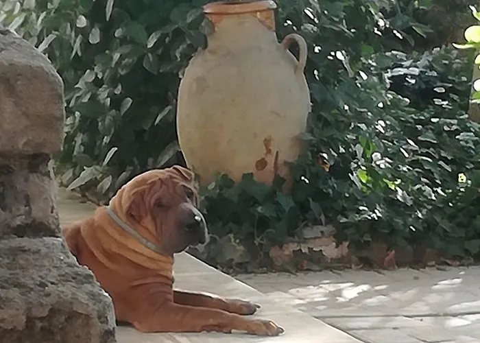 Giardino Nascosto