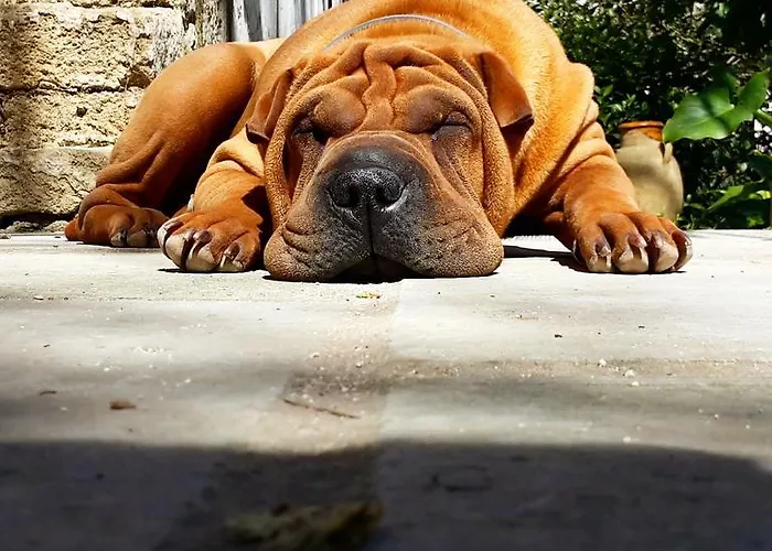 Giardino Nascosto 住宿加早餐酒店 塔维亚诺