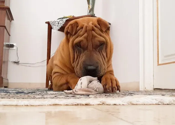 住宿加早餐酒店 Giardino Nascosto 4*